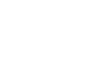 Pinkfish Music & Arts Festival Logo